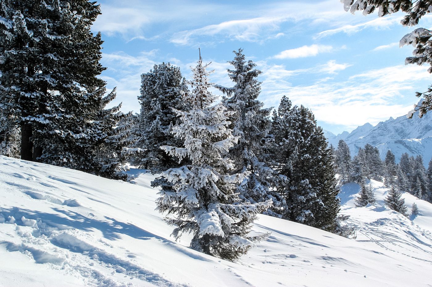 Зиллер таль Австрия 300