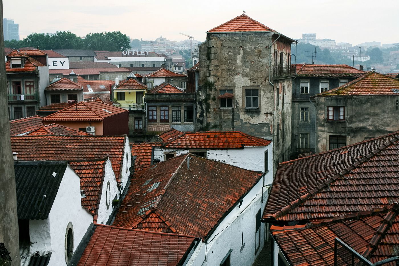 Изображение 552