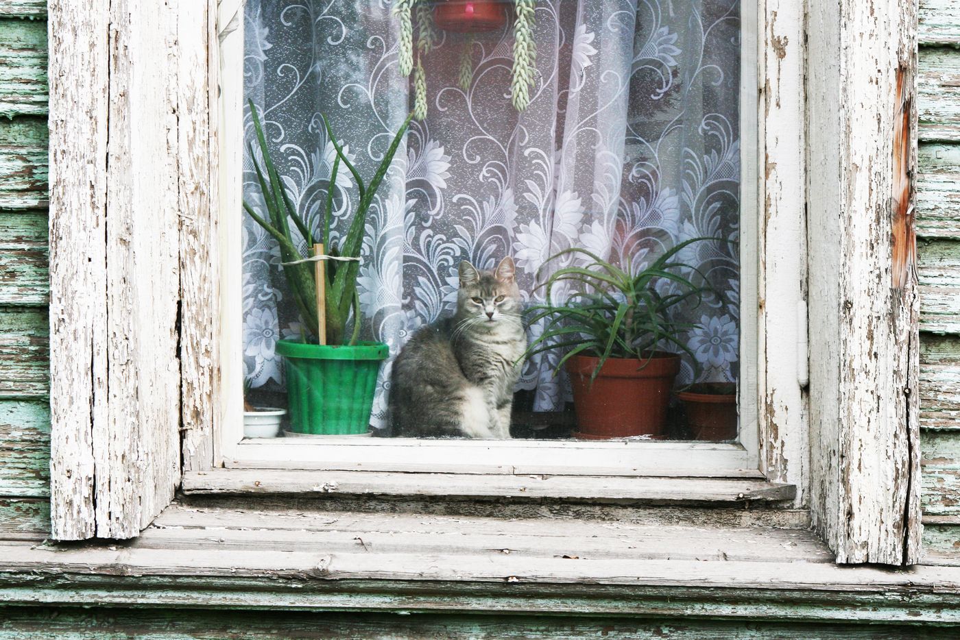 вологда 2 010 (2)