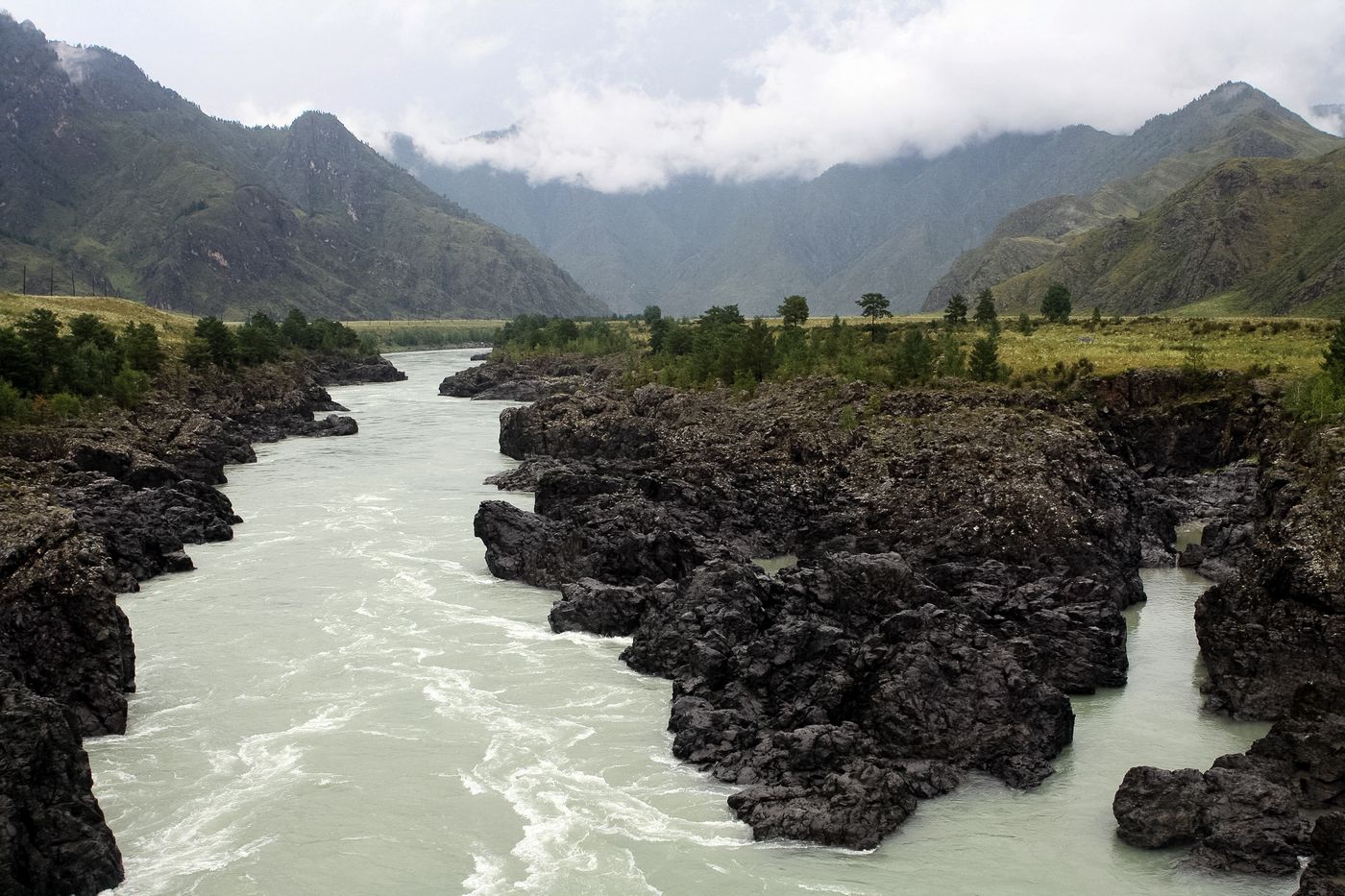 новосиб алтай 1059